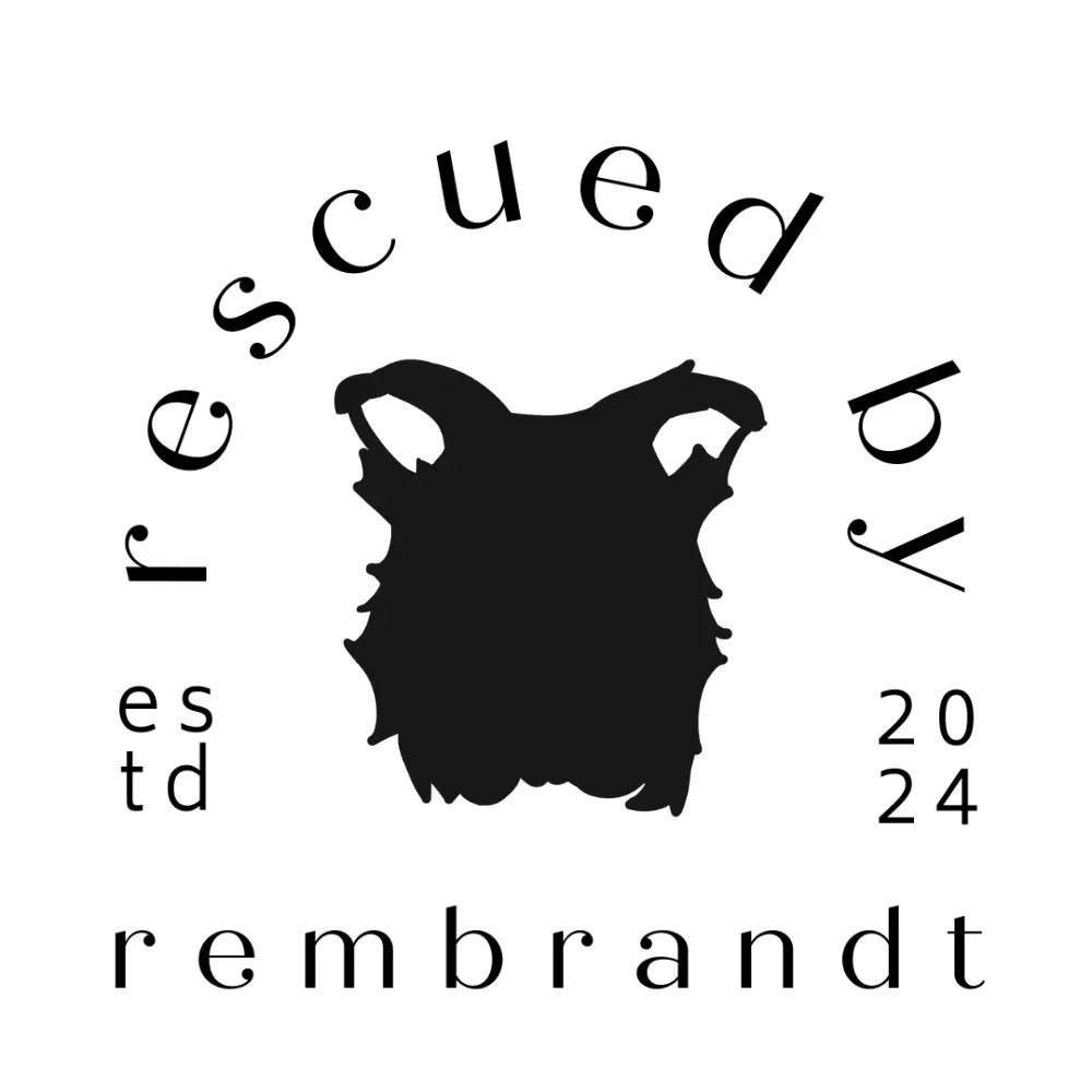 Rescued by Rembrandt